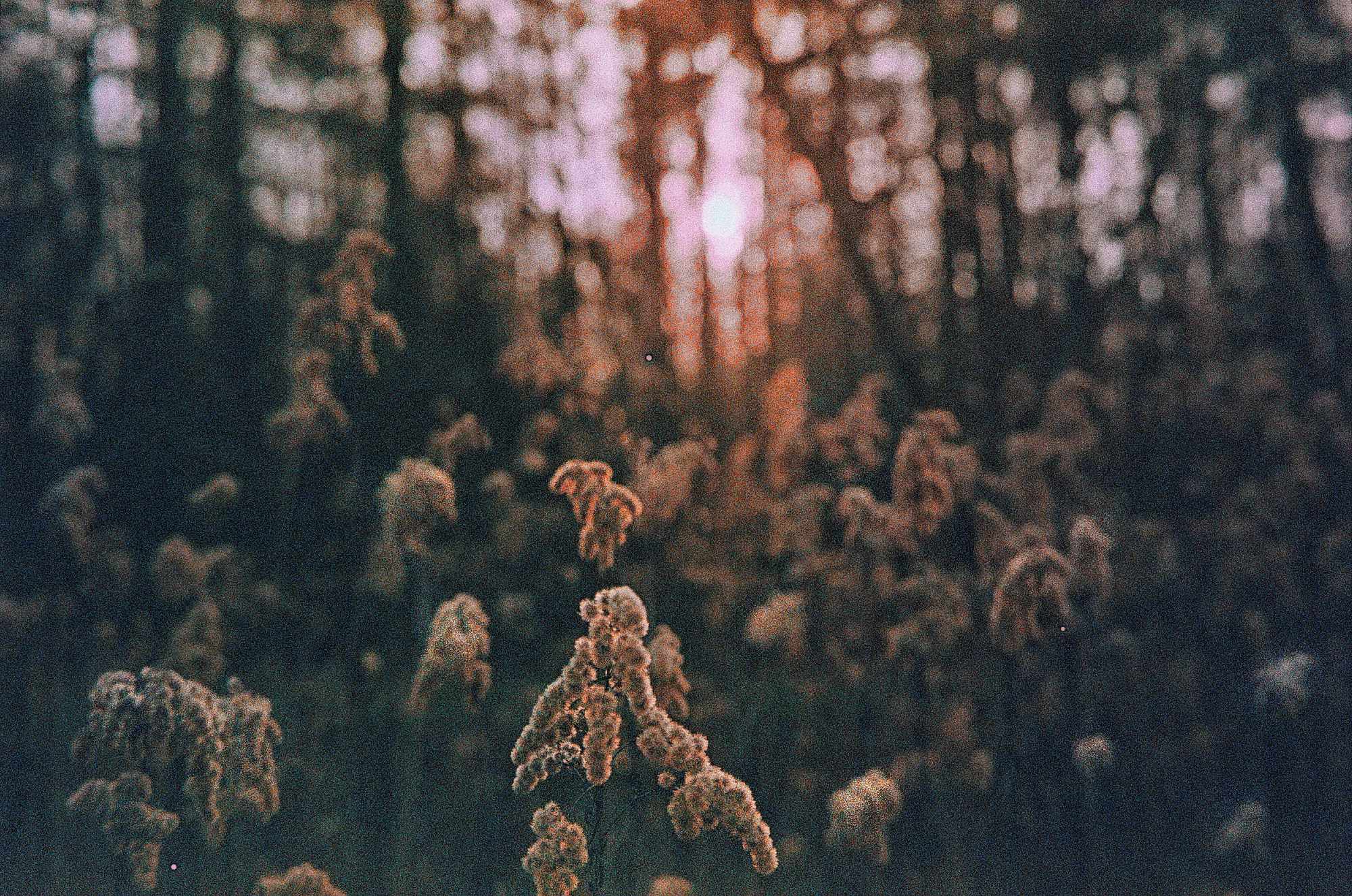 Vkl 2019 02 20 Leica CL 7Artisans Precisa cross (6a)